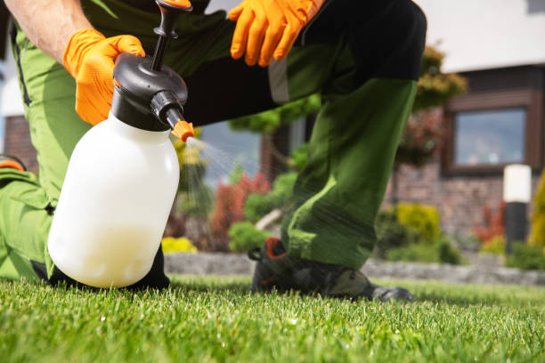 Reliable Oro Valley, AZ Pest Control Solutions